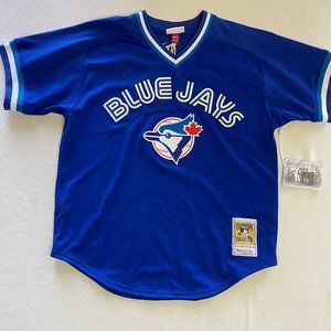 Blue Jays #29 Jersey